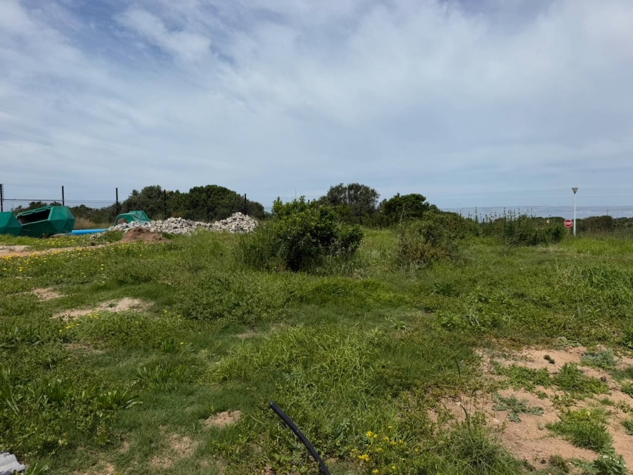 0 Bedroom Property for Sale in Reebok Western Cape